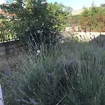 Vikendica Lavanda *