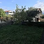 Lavanda *