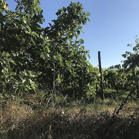 Lavanda 度假居 Lovinac (Zadar)