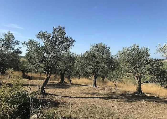 Lavanda 度假居 Lovinac (Zadar)