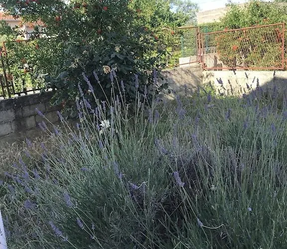 度假居 Lavanda *