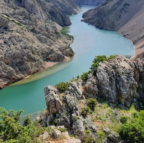Lavanda * Lovinac (Zadar)