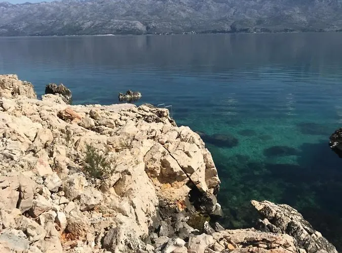 Lavanda