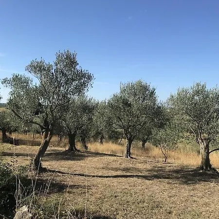 Lavanda Vakantiehuis Lovinac (Zadar)