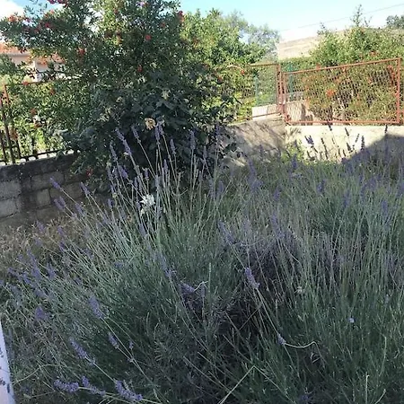 Vakantiehuis Lavanda *