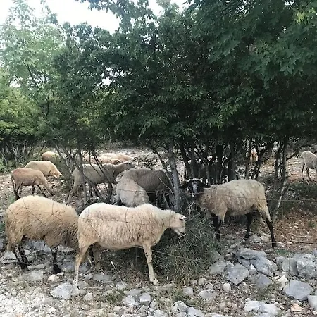 Lavanda Vakantiehuis *