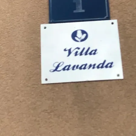 Lavanda