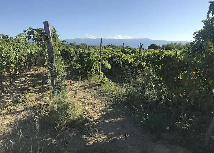 Lavanda Casa vacanze