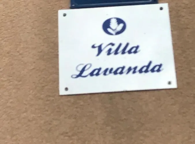 Lavanda